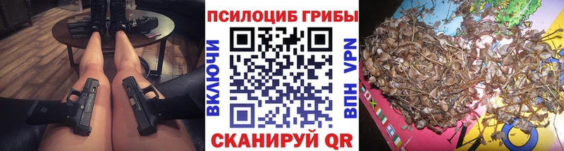 купить наркоту  Гусь-Хрустальный  Псилоцибиновые грибы Magic Shrooms 