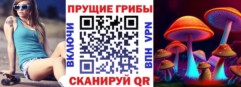 Псилоцибиновые грибы Magic Shrooms Гусь-Хрустальный